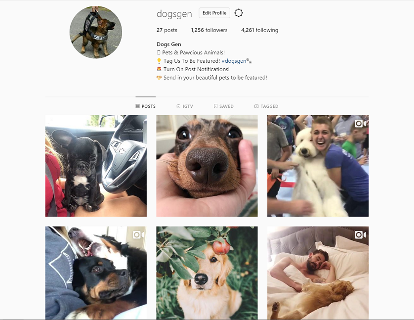 dogsgen.png