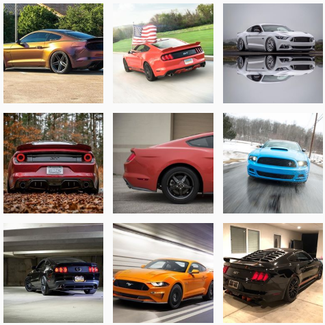 mustang people snapshot.PNG